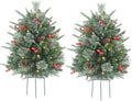 2-Pack 30-Inch Outdoor Prelit Flocked Christmas Trees with 100 LED Battery-Operated Lights