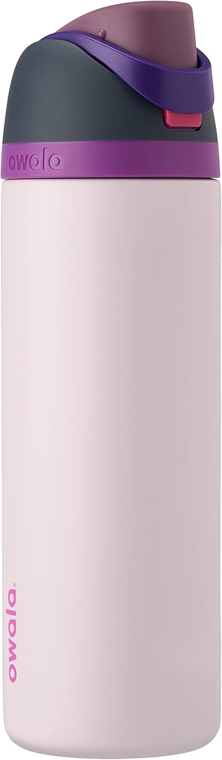 24oz Insulated Stainless Steel Water Bottle with Straw & Locking Lid - BPA-Free, 24-Hour Cold Retention