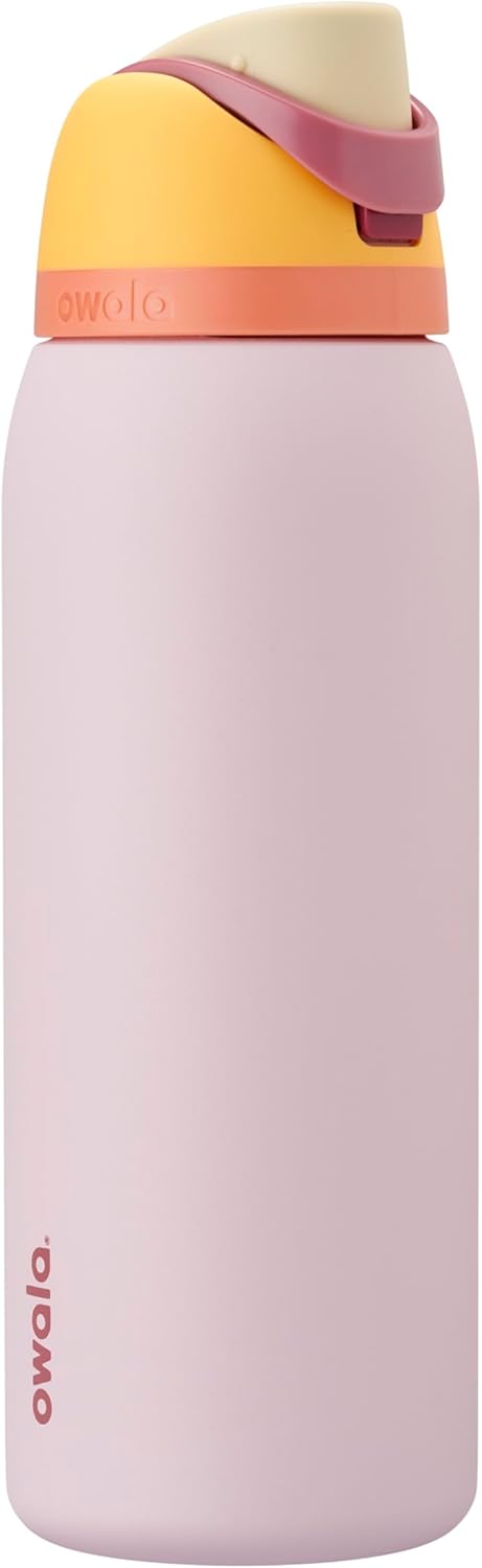 24oz Insulated Stainless Steel Water Bottle with Straw & Locking Lid - BPA-Free, 24-Hour Cold Retention