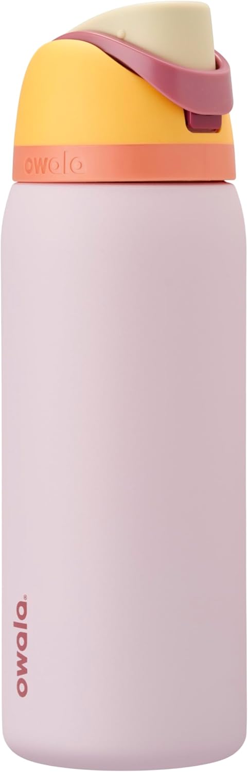 24oz Insulated Stainless Steel Water Bottle with Straw & Locking Lid - BPA-Free, 24-Hour Cold Retention