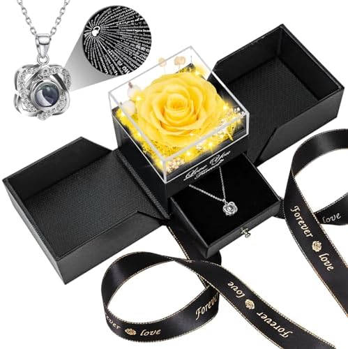 Preserved Red Rose with I Love You Necklace - Eternal Flower Gift for Women