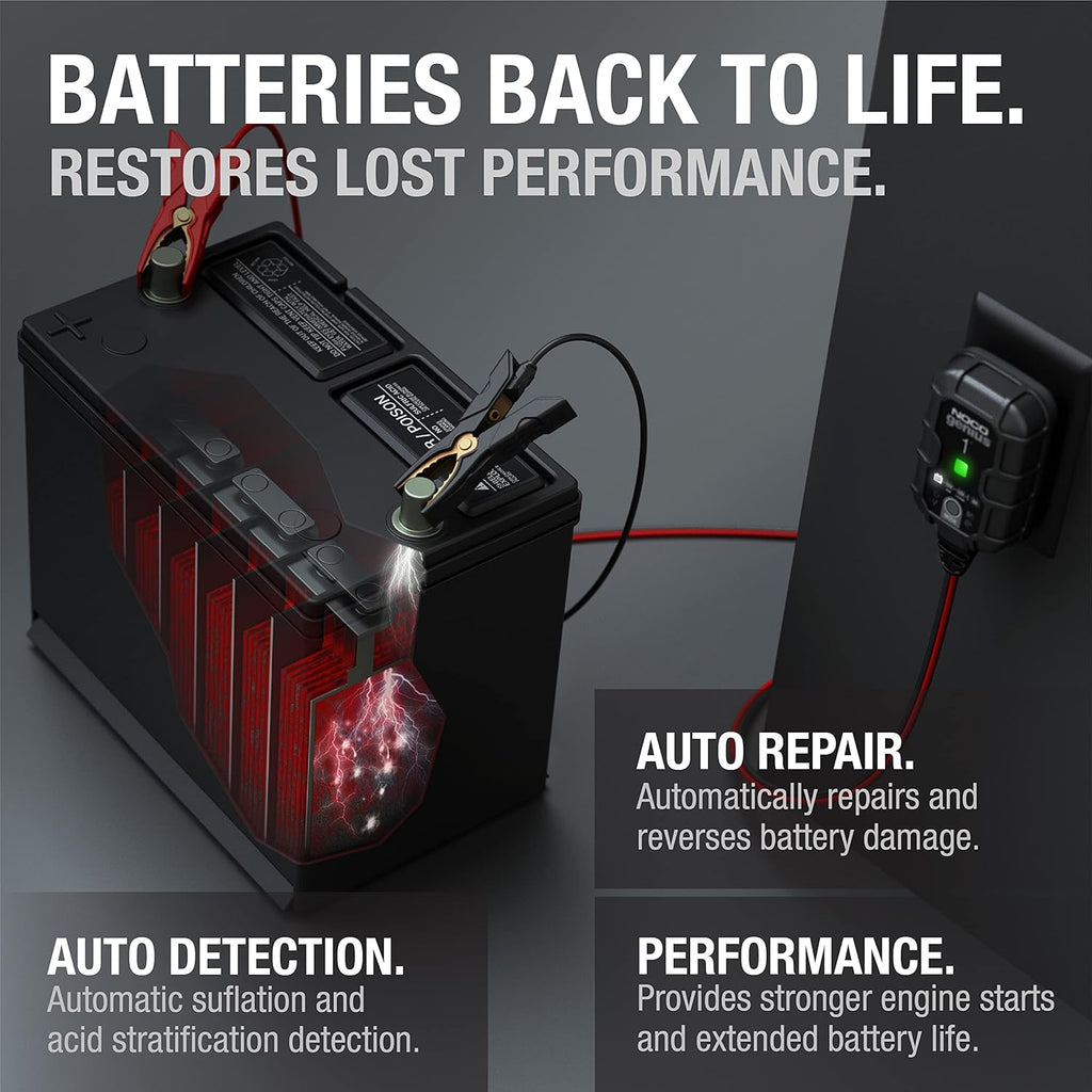 1A 6V/12V Smart Battery Charger, Automatic Maintainer & Trickle Charger with Desulfator