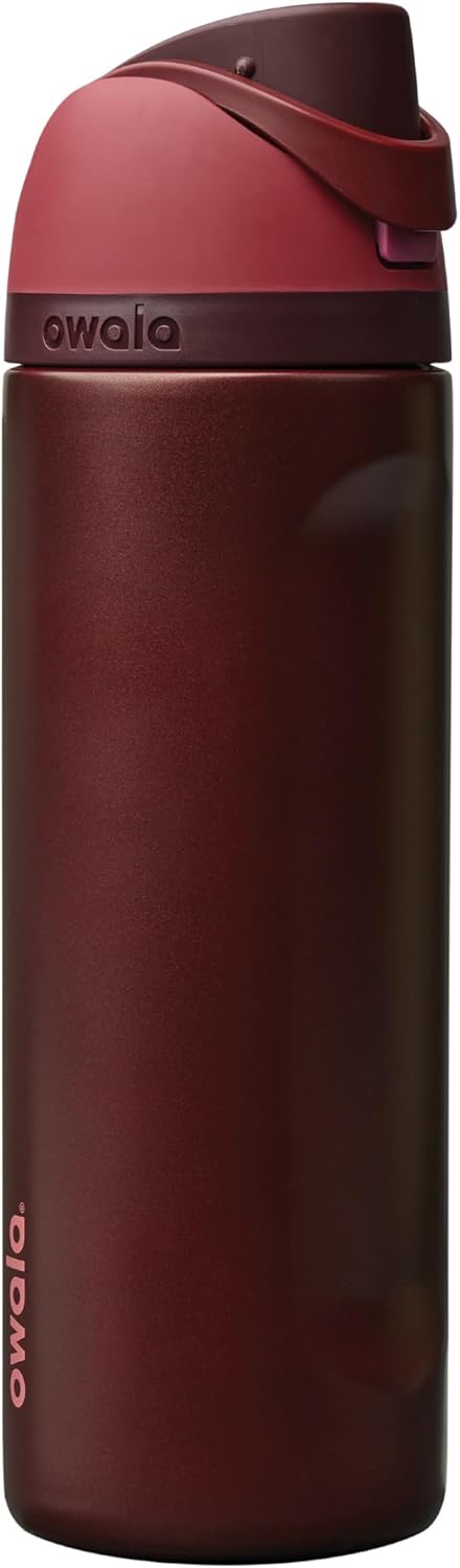 24oz Insulated Stainless Steel Water Bottle with Straw & Locking Lid - BPA-Free, 24-Hour Cold Retention