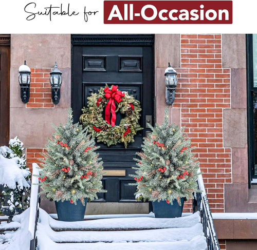 2-Pack 30-Inch Outdoor Prelit Flocked Christmas Trees with 100 LED Battery-Operated Lights