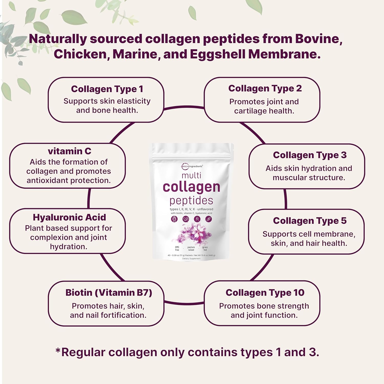 Multi Collagen Peptides Powder, 40 Stick Packs | Type I, II, III, V, X + Biotin, Vitamin C & Hyaluronic Acid | Supports Hair, Skin & Joint Health