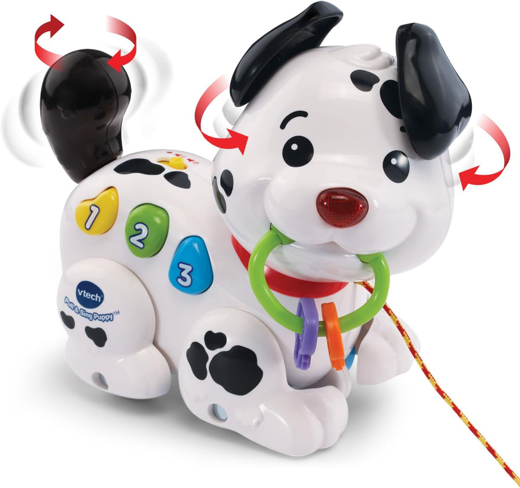 VTech Pull and Sing Puppy: Interactive Walking Dog Toy with Music & Learning