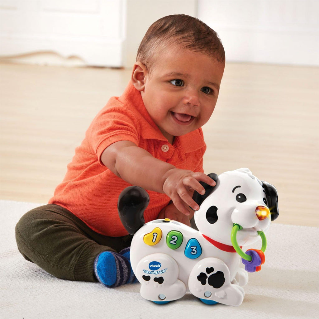 VTech Pull and Sing Puppy: Interactive Walking Dog Toy with Music & Learning