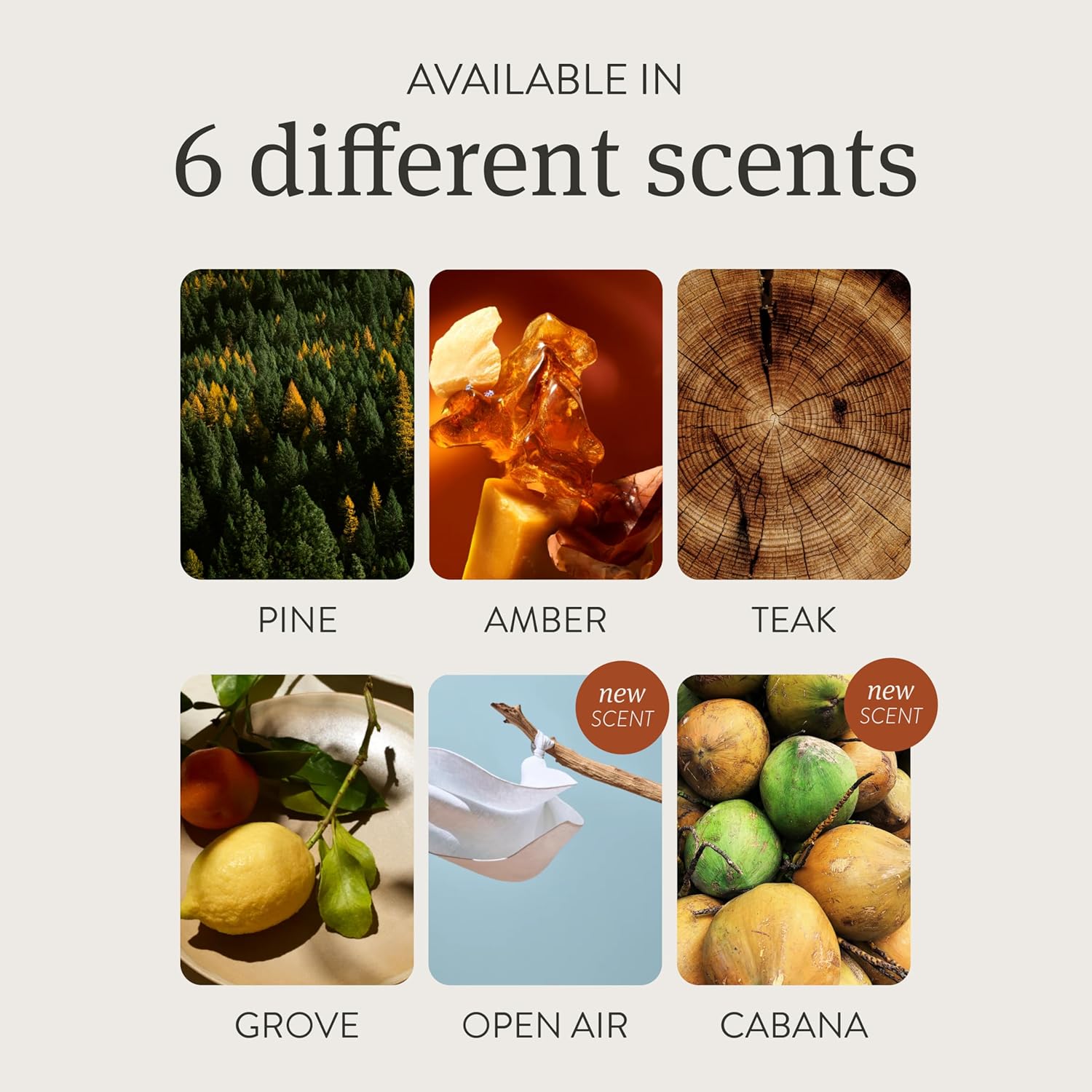 Magnetic Wood Car Air Freshener with Teak Scent - Natural Essential Oil Refillable Odor Eliminator