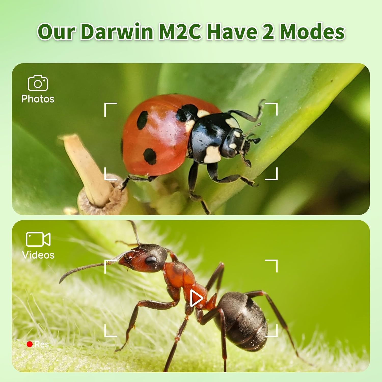 4 Inch Screen Digital Microscope for Kids, 1080P HD 1600X Magnification with 8G Card