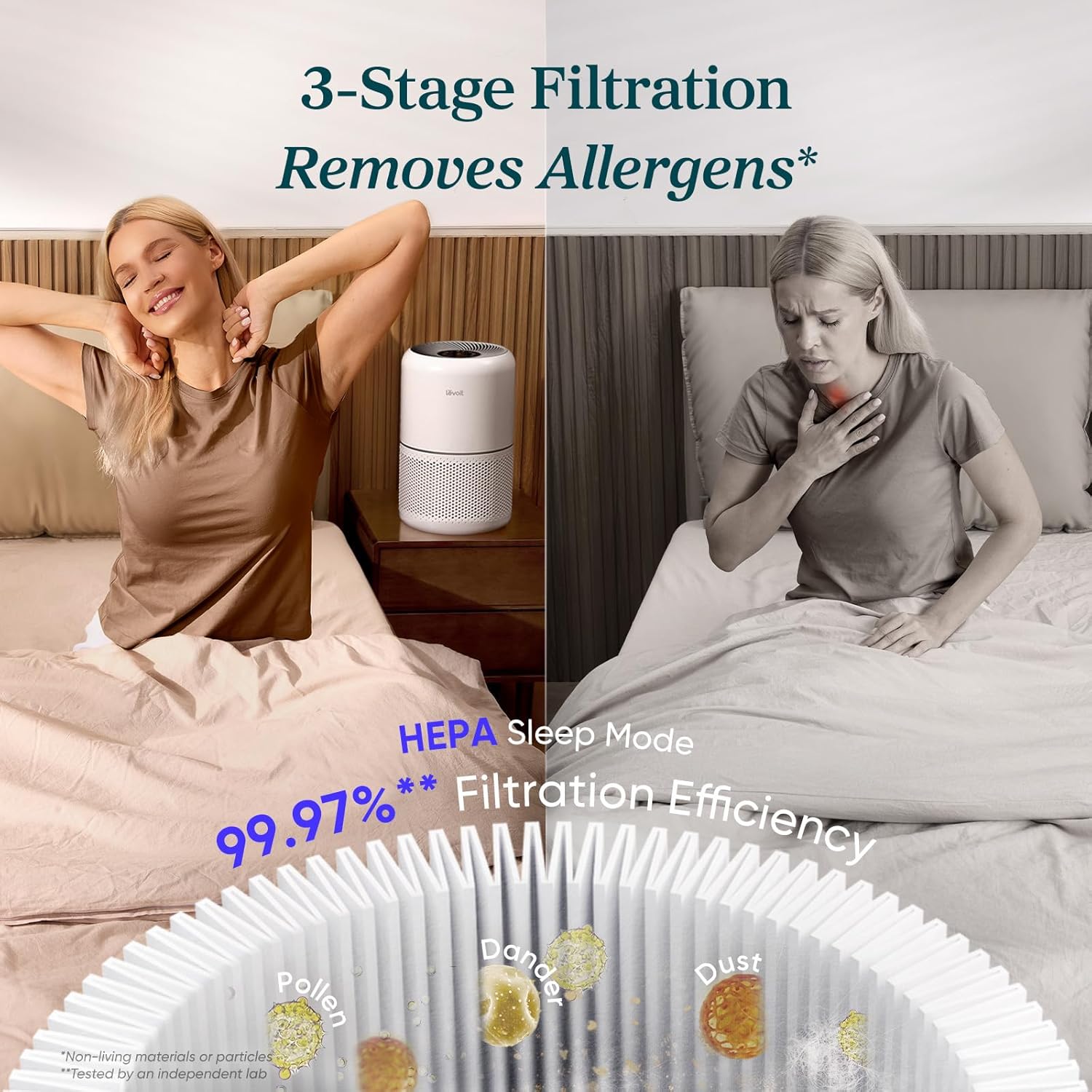Air Purifier for Allergies and Pet Hair, 1073 ft² Coverage, HEPA Sleep Mode, 3-in-1 Filter