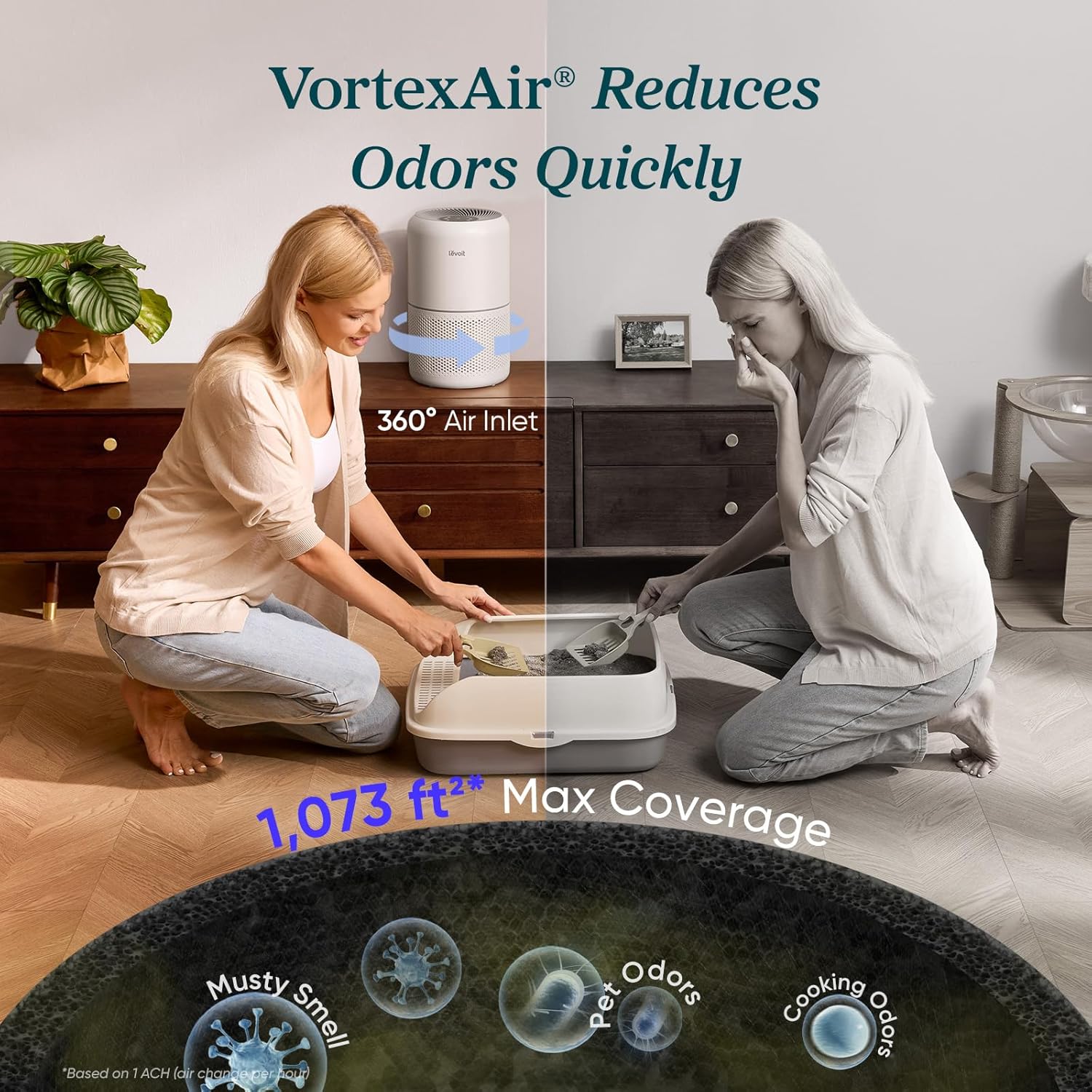 Air Purifier for Allergies and Pet Hair, 1073 ft² Coverage, HEPA Sleep Mode, 3-in-1 Filter