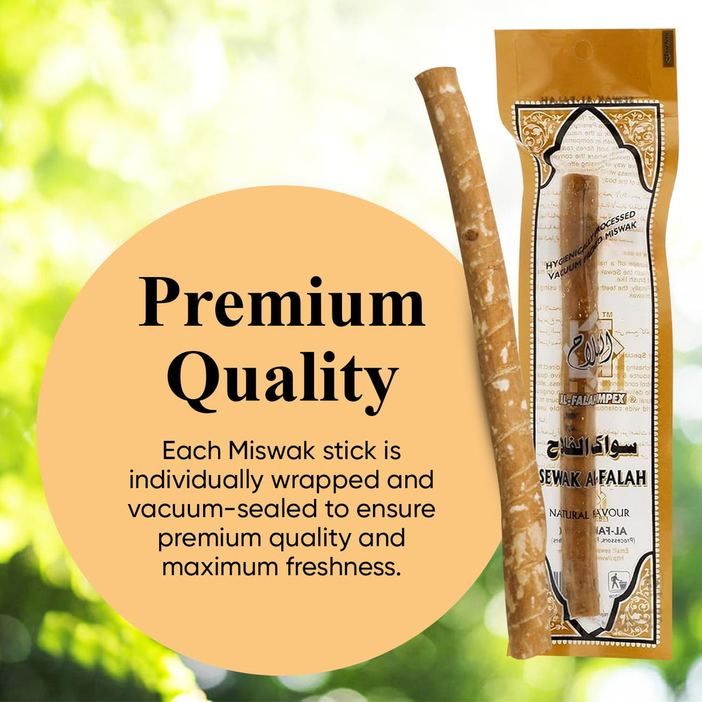 10-Pack Natural Toothbrush Sticks with Soft Bristles, Eco-Friendly & Long-Lasting