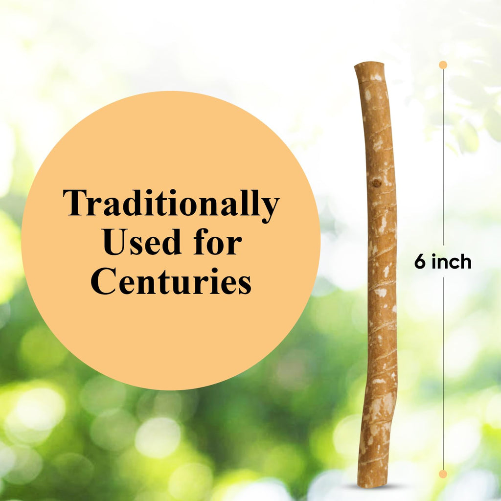 10-Pack Natural Toothbrush Sticks with Soft Bristles, Eco-Friendly & Long-Lasting