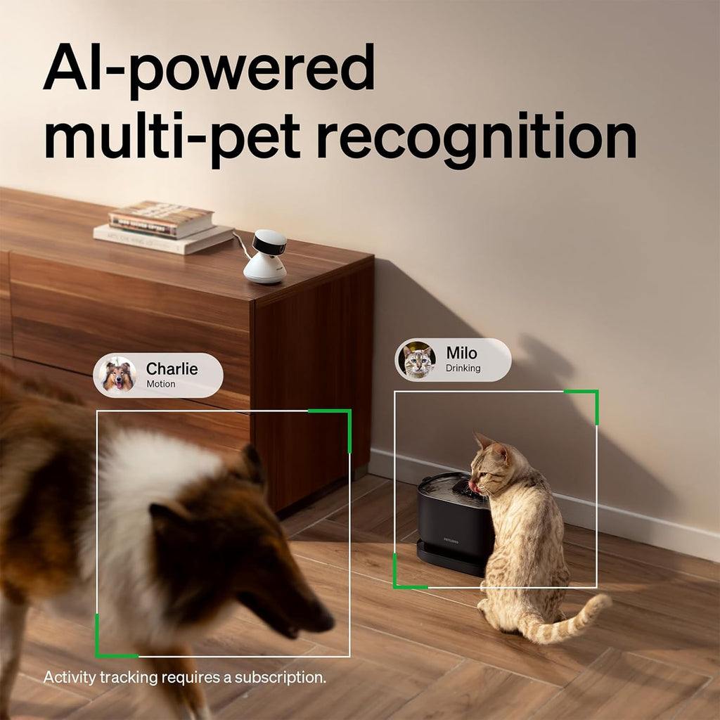 AI Pet Camera with Multi-Pet Recognition, 360° View & Smart Activity Summaries