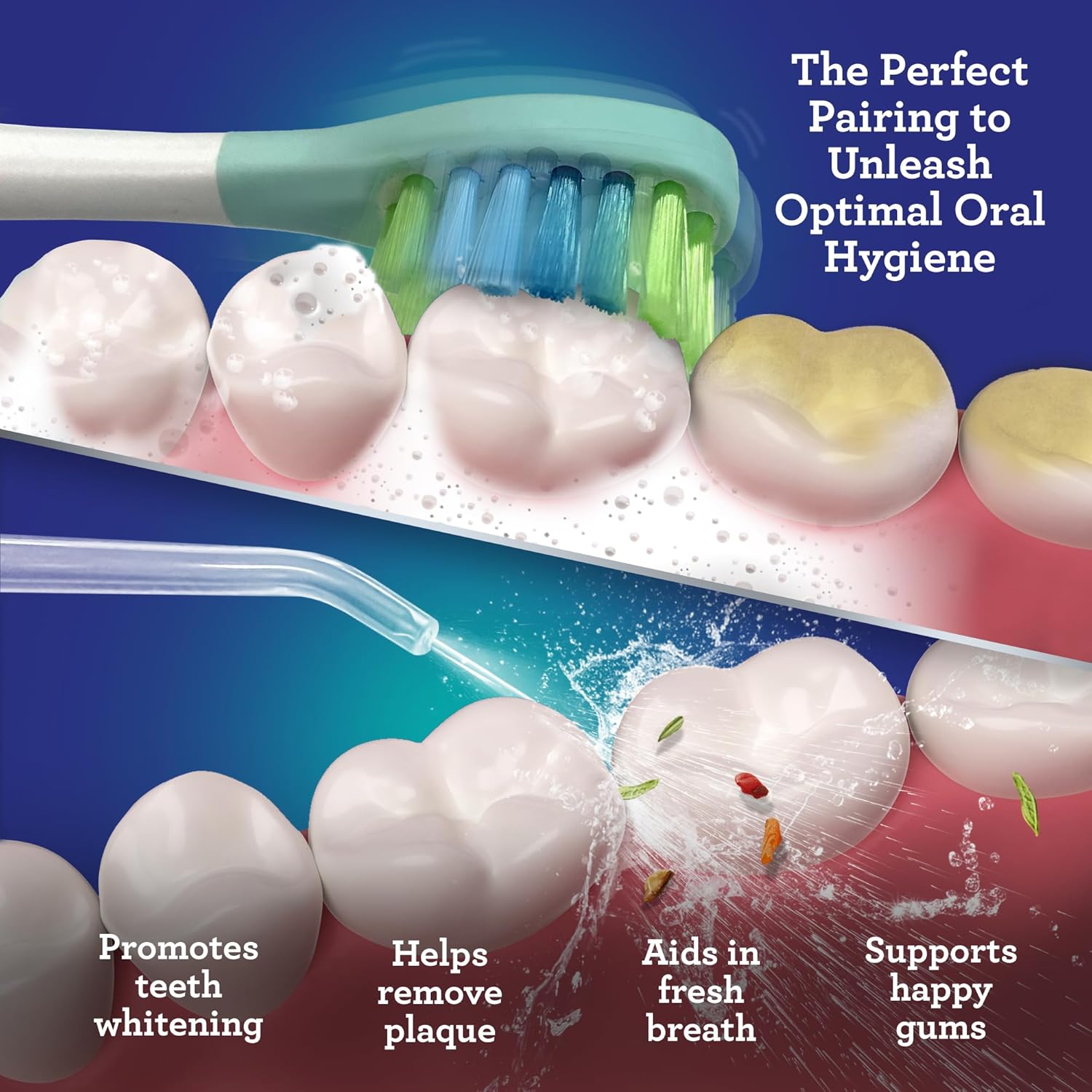 Electric Toothbrush & Water Flosser Combo, 4 Brush Heads, 4 Jet Tips, IPX7 Waterproof, Lavender