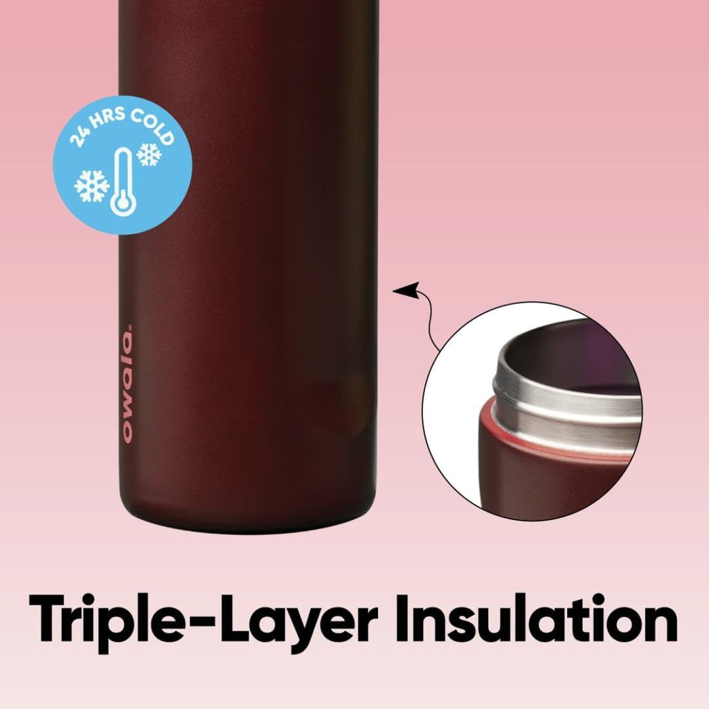 24oz Insulated Stainless Steel Water Bottle with Straw & Locking Lid - BPA-Free, 24-Hour Cold Retention